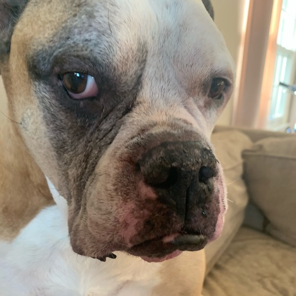 Profile Picture of Denelle Henretty (@denelle41) on Poshmark