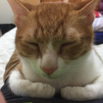 Profile Picture of Chen Li Wei (@chen_wei3) on Twitter