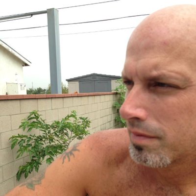 Profile Picture of Mark Sternberg (@Starmountain41) on Twitter