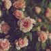 Profile Picture of Bryanna Ledbetter (@bryledbetter) on Pinterest