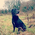 Profile Picture of Andy Osborne (@andy.osborne36) on Instagram