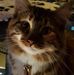 Profile Picture of Kate Fossum (@kate.fossum.7) on Facebook