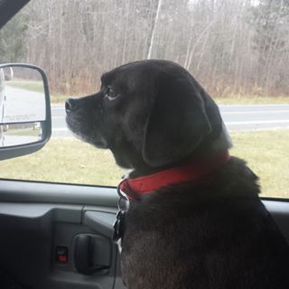 Profile Picture of Carl Richardson (@carl.richardson.3572) on Facebook