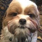Profile Picture of Rob Engel (@rob.engel.58) on Instagram