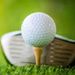 Profile Picture of Bradley Tremblay (@btremblay500) on Pinterest