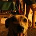 Profile Picture of Kevin Kerchner (@kevin.kerchner.161) on Facebook