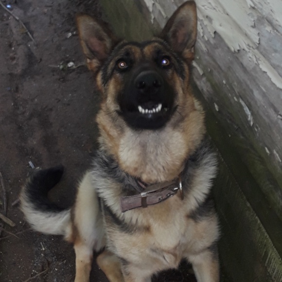 Profile Picture of Canuto Cruz (@kanouno) on Poshmark