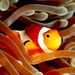 Profile Picture of JONATHAN STATON (@jonathans2902) on Pinterest