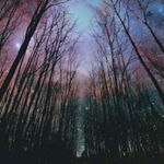 Profile Picture of Savannah Coleman (@lovelife3618) on Instagram