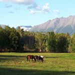 Profile Picture of Wayne Nagata (@waynenagata) on Instagram