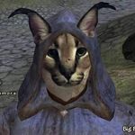 Profile Picture of Lucas Homer (@boi__b312_oh) on Instagram