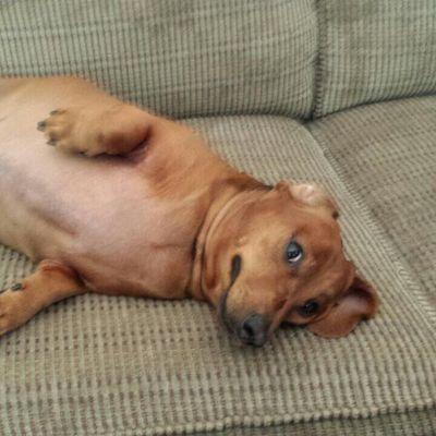 Profile Picture of Sherman Wilkinson (@b346aa686ad542f) on Twitter