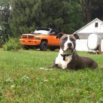 Profile Picture of Chris Minton (@cminton95) on Instagram