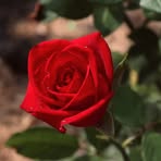 Profile Picture of Avery Oliver (@Avery-Oliver) on Facebook