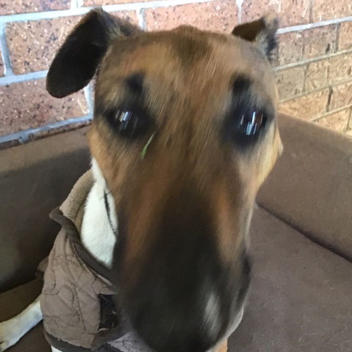 Profile Picture of 🌹Alyssa🌹 (@alyssa_dice754) on Tiktok