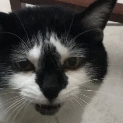 Profile Picture of Wack (@Michael56769352) on Twitter