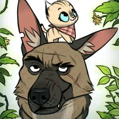 Profile Picture of Cory Santos (@CorySantos15) on Twitter