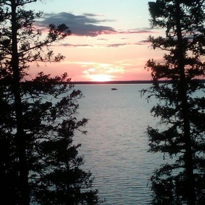 Profile Picture of Stephen Lepper (@StephenLepper) on Twitter