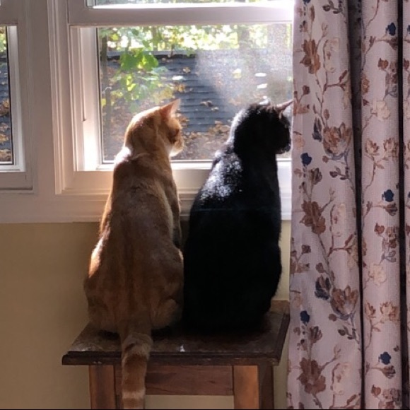 Profile Picture of Jaylin Colvard (@jaylincolvard) on Poshmark