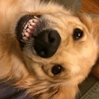 Profile Picture of Brian Exposito (@brianexposito) on Pinterest