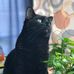 Profile Picture of John Beringer (John Beringer) (@echo.cat.54) on Facebook