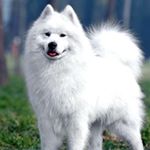 Profile Picture of Travis Rochester Roy Barry (@boybazz101) on Instagram