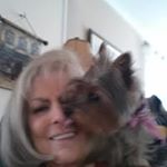 Profile Picture of Pat Reirdon Fitzsimmons (@pat.r.fitzsimmons) on Instagram