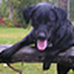 Profile Picture of Chelsey Dorman (@Chelsey Dawn) on Flickr