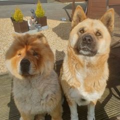 Profile Picture of Jim Knowles (@jimknowles23) on Tiktok