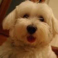 Profile Picture of Wilfred Wong (@wilfred-wong-13) on Quora