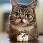 Profile Picture of Daniel Aaron Termini (@danielaaronter) on Instagram