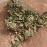 Profile Picture of chad (@chadoxendine27) on Instagram