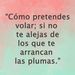 Profile Picture of ingrid mesa herrera (@imesaherrera) on Pinterest