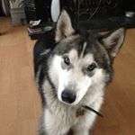 Profile Picture of Julie Anne Gardner (@09972jules) on Instagram