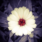 Profile Picture of Mehdi Rihani (@rihanimehdi) on Flickr