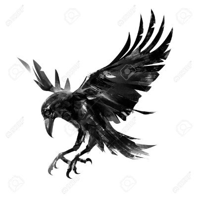 Profile Picture of Gary Williams Hauling Thorn Beak (@thorn_dr) on Twitter