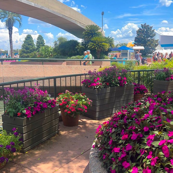 Profile Picture of alexis (@alexis.yonker) on Tiktok