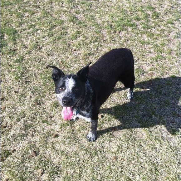 Profile Picture of Kimmy Kim (@nlcfkea) on Poshmark