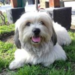 Roxana Beatriz Espinal Diez - Instagram Profile Picture of Roxana Beatriz Espinal Diez (@espinalroxana2011) on Instagram