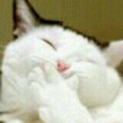 Profile Picture of Henry Penzek (@PatinkaH) on Twitter