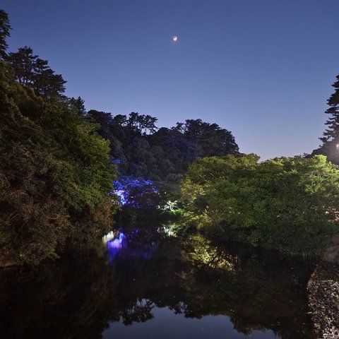 Profile Picture of hye_ring (@hye_ring) on Tiktok