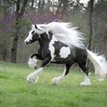 Profile Picture of George Restrepo (@bluefish0731) on Instagram