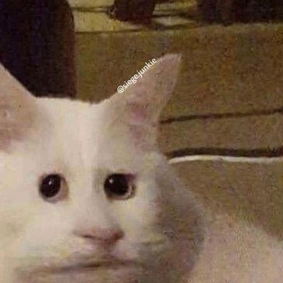 Profile Picture of Tom Hartnell (@hartnell_tom) on Twitter