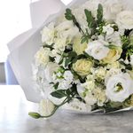 Profile Picture of Sheryl Spencer (@sheryl.spencer) on Instagram