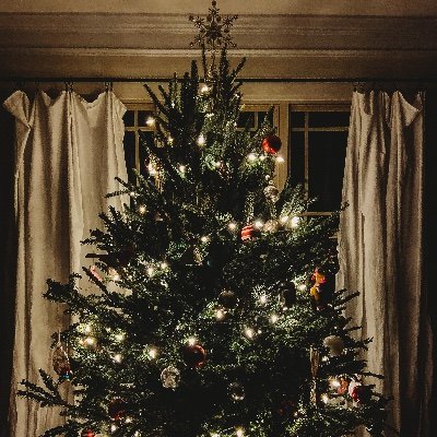 Profile Picture of Allison Minnick (@AllisonMinnick) on Twitter