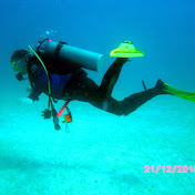 Profile Picture of Andrew Connolly (@baybeebird1) on Youtube