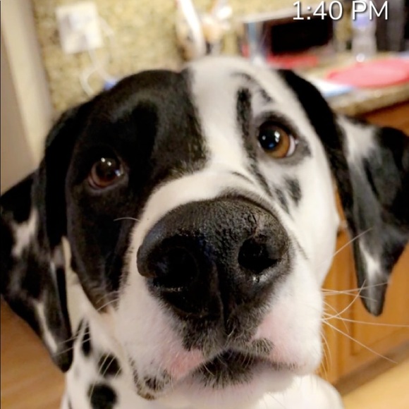 Cadence Wodrich - Poshmark Profile Picture of Cadence Wodrich (@cadence174) on Poshmark