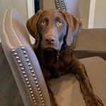 Profile Picture of Vivian Hackman (@vivianhackman) on Instagram