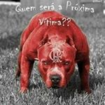 Profile Picture of Isaac Pereira Esteves (@isaacpereiraesteves) on Instagram