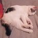 Profile Picture of Anne Fallou (@anne.fallou.75) on Facebook